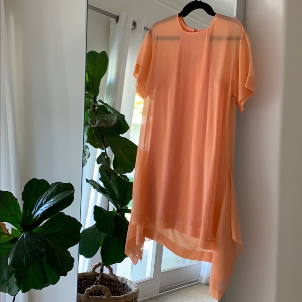 BCBG Max Azria Resort Sheer dress